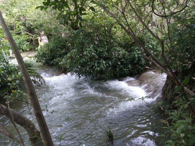 湖南湘潭：开足马力备年货 特色农产品助力乡村振兴