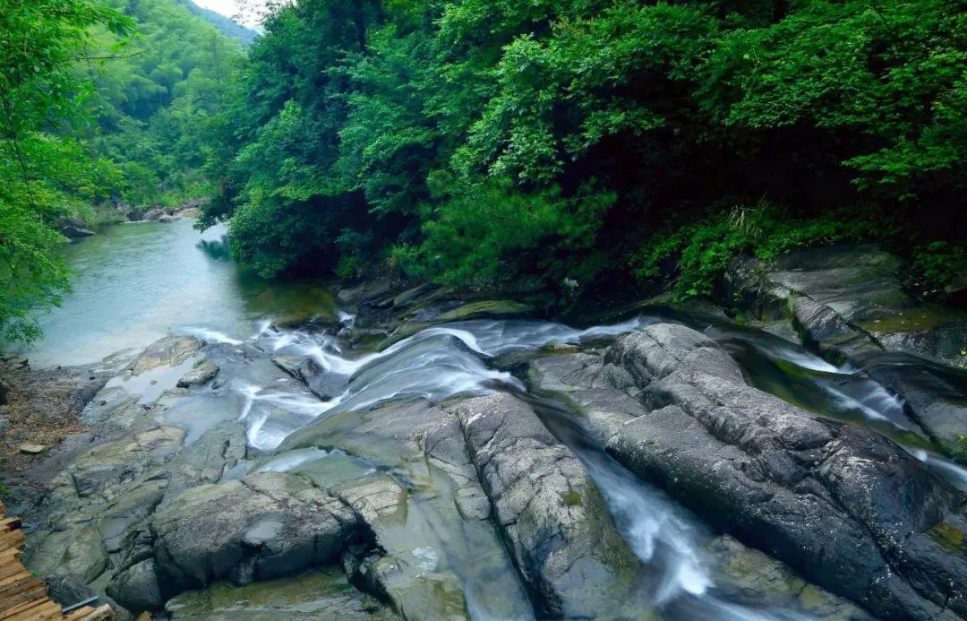 数据看春运，琼州海峡迎来客流高峰，车辆过海需预约